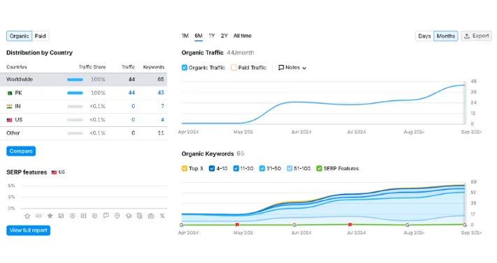 Faizan Interior performance on Semrush